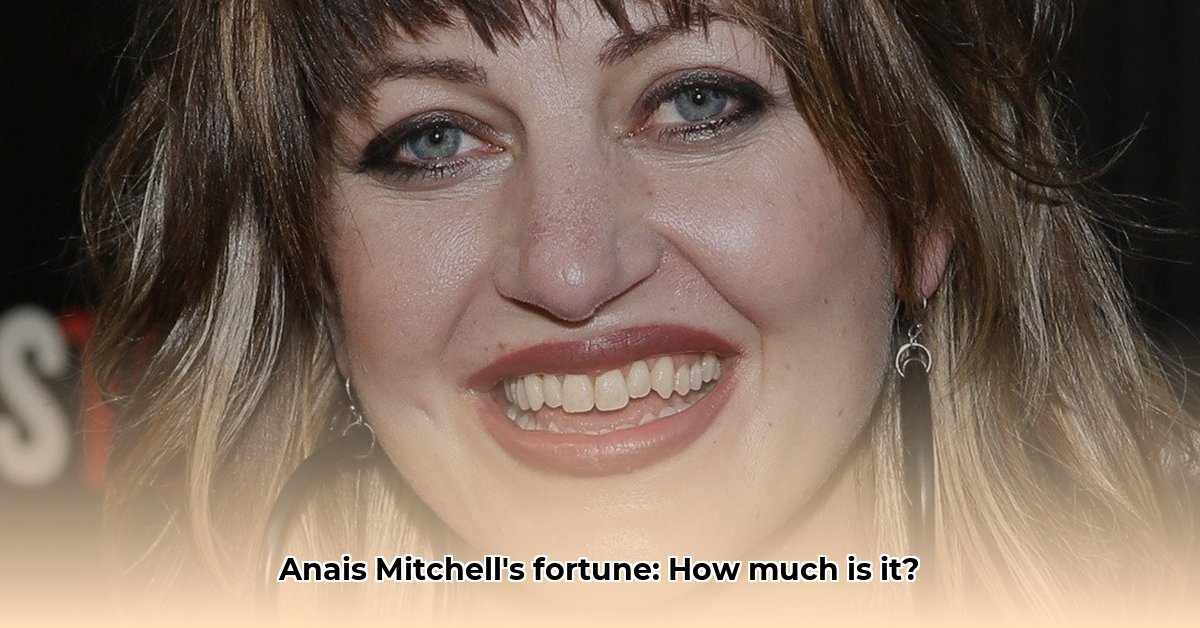 anais mitchell net worth